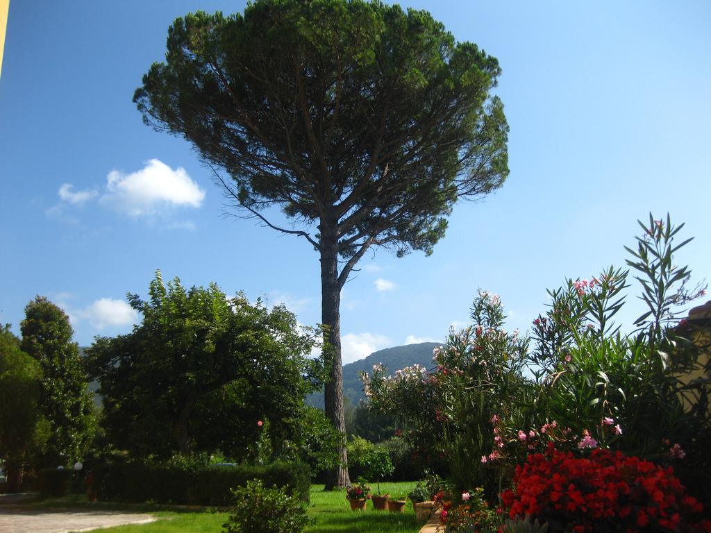 B&B Villa Pardi Lucca Exteriér fotografie