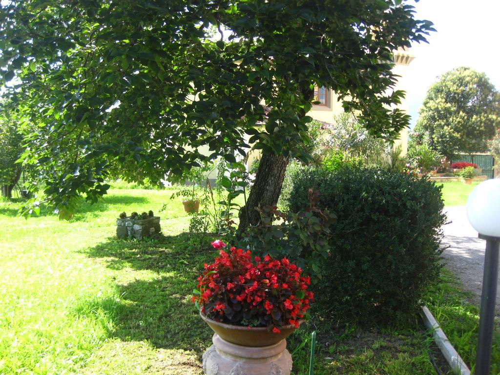 B&B Villa Pardi Lucca Exteriér fotografie